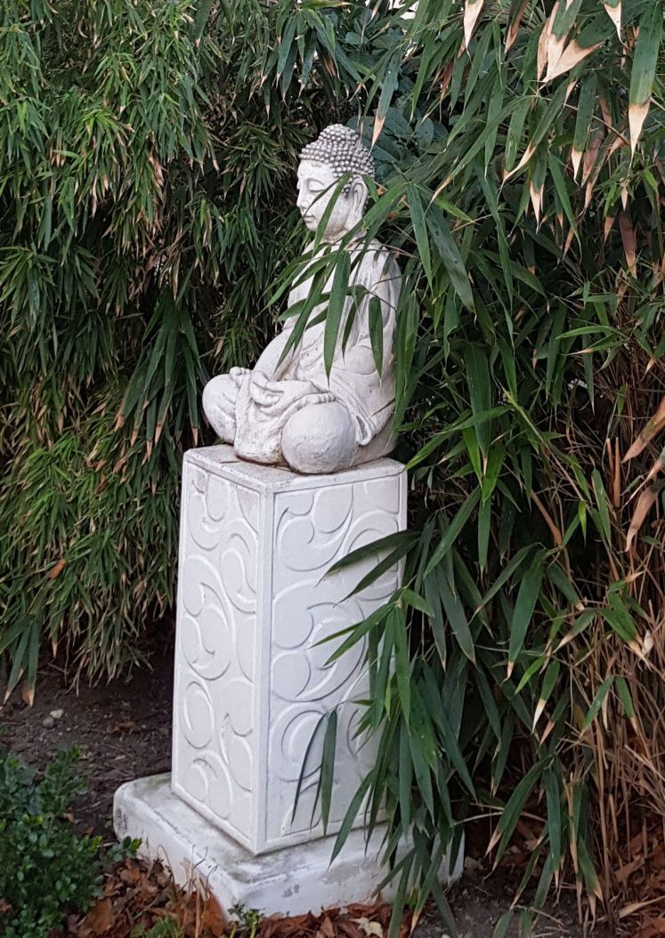 Meditating in Bamboo