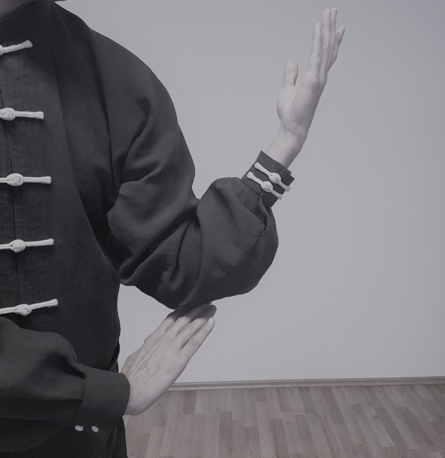 Tai Chi Wien Fliegen in der Diagonale