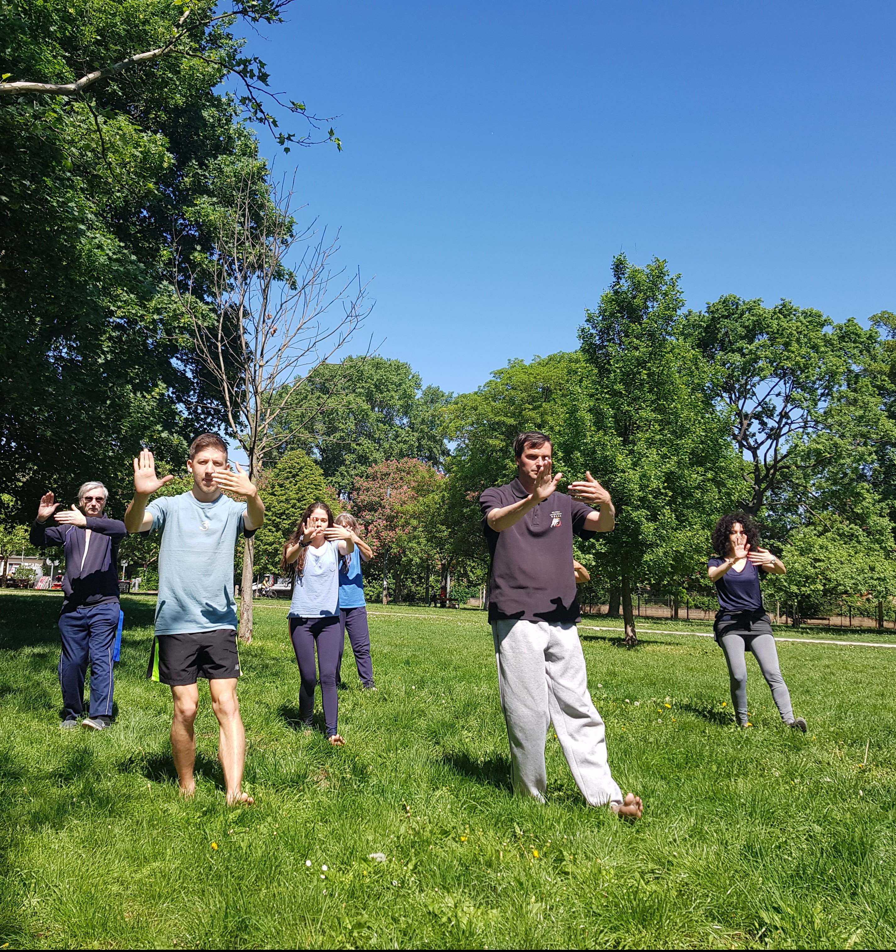 tai-chi-und-qi-gong-im-prater-wien-entspannter-c3bcbungstag-am-13-5-18.jpg