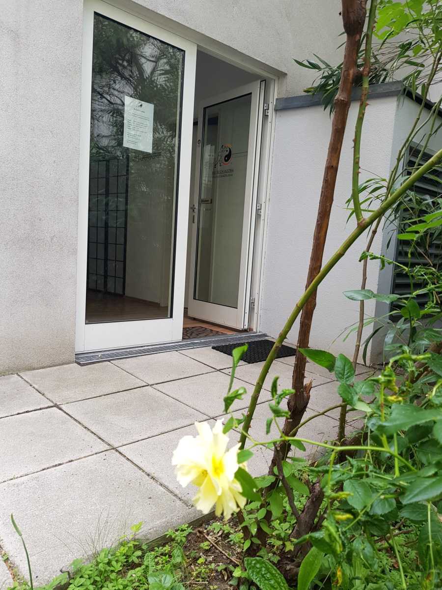 Wu Tai Chi Chuan Akademie 1