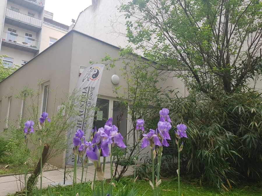 Wu Tai Chi Chuan Akademie Wien2