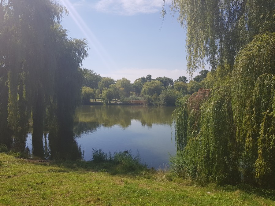 Qi Gong im Volkspark Wien