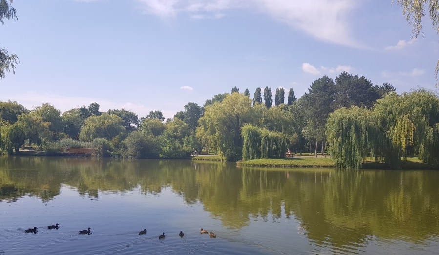 Tai Chi Übungstag, Meditation in Bewegung Wien