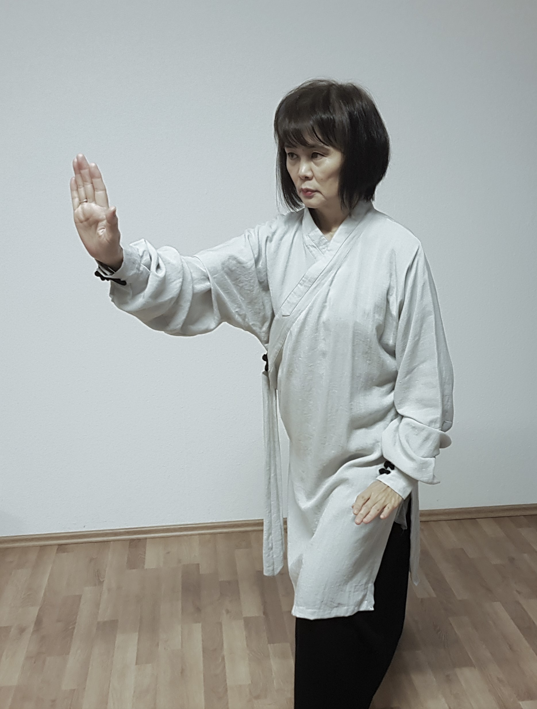 Wu Tai Chi Wien Einsteiger-Anfängerkurs 15 Bewegungen Kurzform