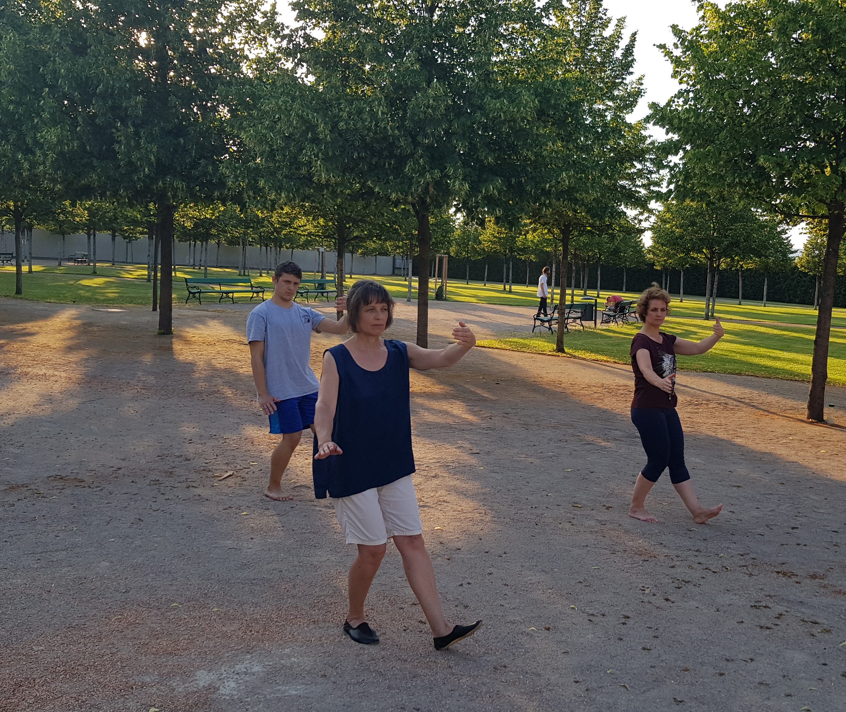 Tai Chi, Taiji Qi Gong Chi Kung